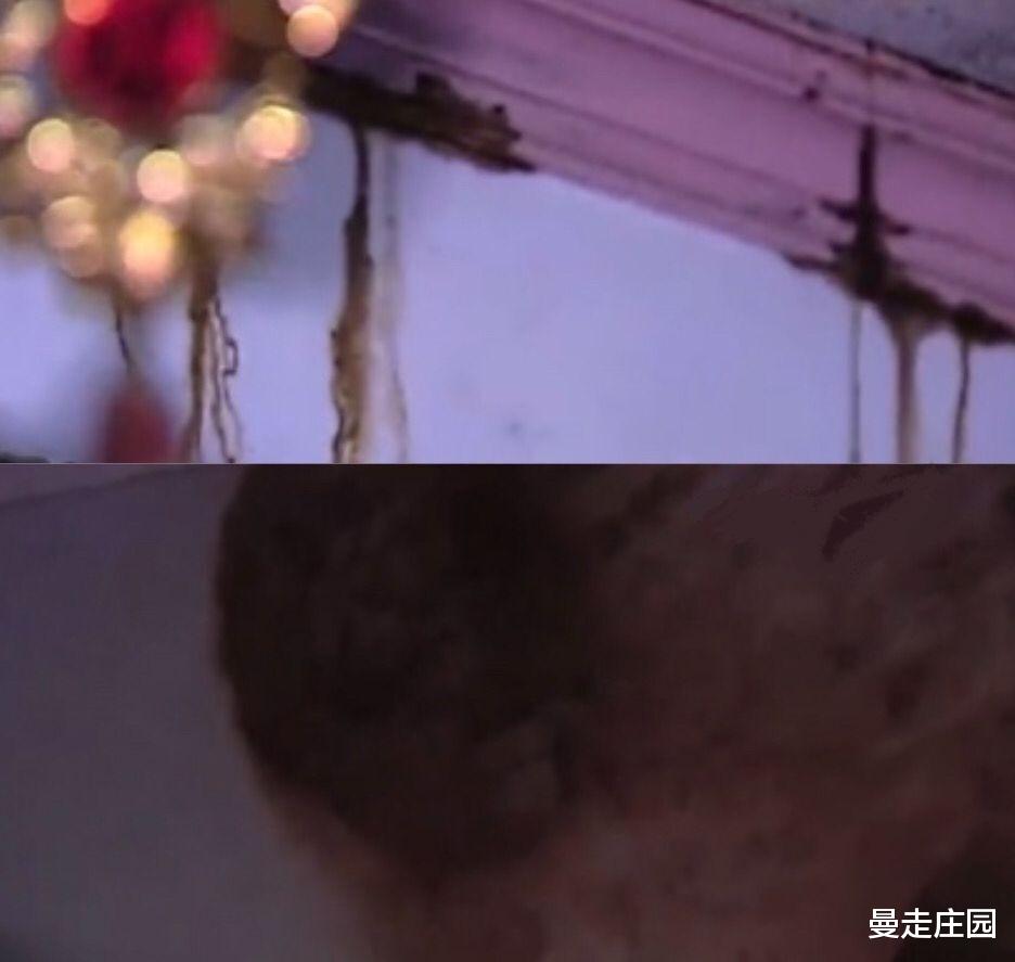 台湾省治安史最残忍命案——得不到那就176刀毁掉!