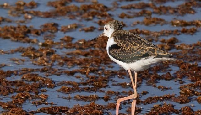 山西省 山西一淡水湖走红,还是五大姓氏发源地,风景优美值得一去