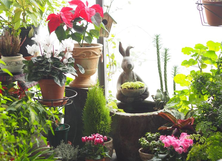 7㎡小阳台，改造成19楼的空中小花园，天天宅在家不想出门了