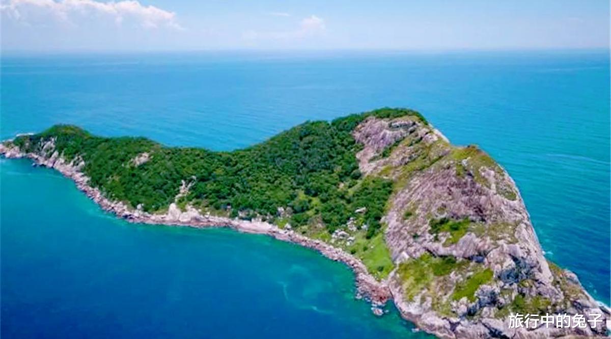 毒蛇 巴西小岛，藏着近4000条毒蛇，岛上蛇类毒性是近亲6倍