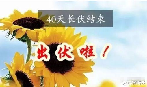 爱生活的陶哥|出伏后，饮食讲究吃3样，饮2水，忌1事，开启秋季健康养生模式