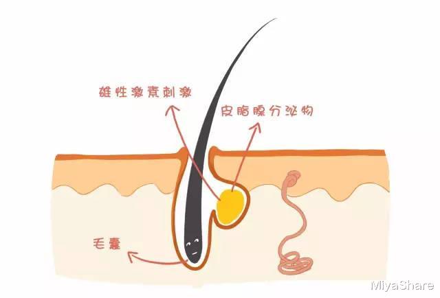 补水|老生常谈：“补水”毁了多少好皮肤？面膜敷得少，皮肤会更好
