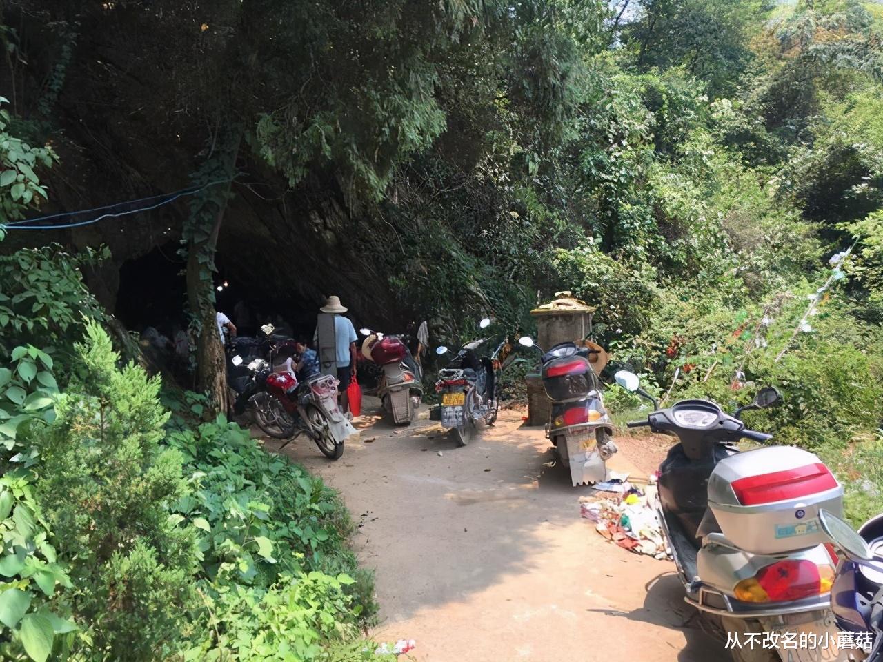 从不改名的小蘑菇|“我有保险，不用你养老”，结局让人深思