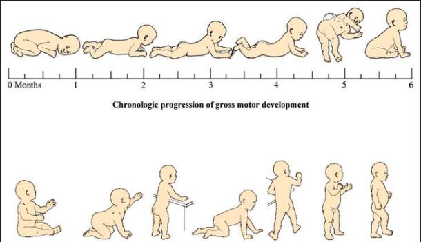 图图爸爸|孩子身上的这些“小动作”，说明大脑发育达标，将来是个聪明娃
