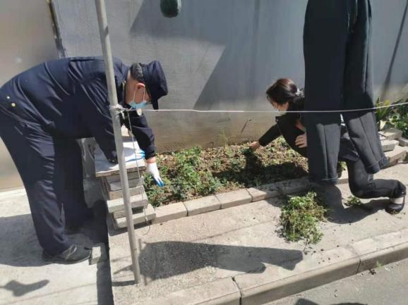 行走江苏 小区“农场”不可取  美好环境靠大家