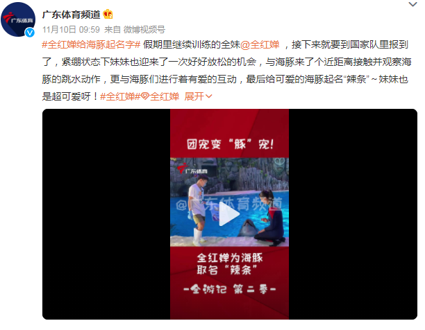 李现|全红婵与海豚亲密互动，还给它起名字，网友乐翻天：是有多爱辣条