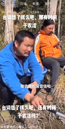 |有剧本实锤！牛爱芳发视频称要助农，钓鱼改放牛，台词一模一样