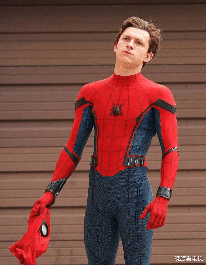  蜘蛛侠和小蜘蛛