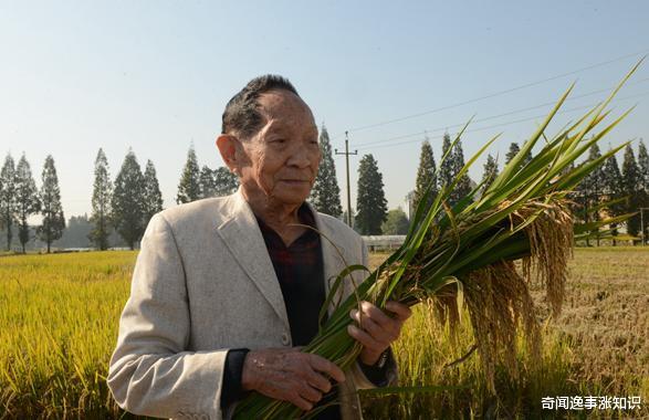 袁隆平|袁隆平一天上两次热搜,多么希望这个消息是假的!