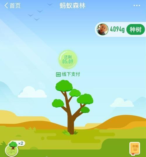 蚂蚁森林|马云曾花天价在沙漠种树，如今三年多过去了，沙漠变成什么样了？