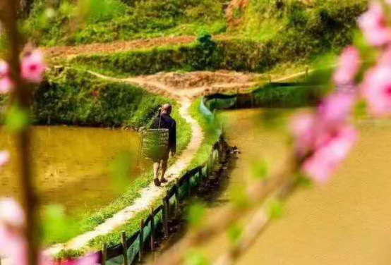 东游记二师兄 春季踏青，农耕时节