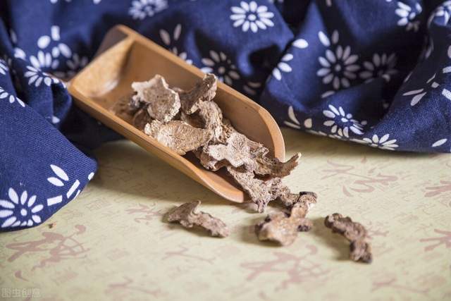 运动|脾胃虚弱,老胃病?讲一味白术,送给脾胃功能欠佳的你