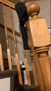  神回复：“海水很咸不能喝！那海洋动物是怎么喝到淡水的？”嘿嘿