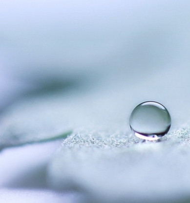 琥珀里的“水世界”