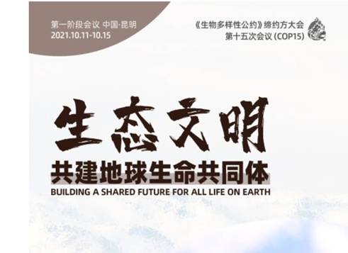 濒危物种 经过40年的努力，这些濒危物种终于降级！但未来还有这些挑战