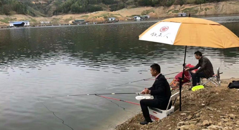 饵料|垂钓鲫鱼和鲤鱼，在钓法、钓饵等方面的差异