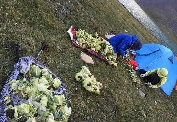 男子花100元买盆花，警察半夜找上门，结果悲剧了