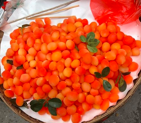 萱爸育儿经|母子重庆旅行买到“金西梅”，当地人：这种假水果别给孩子吃