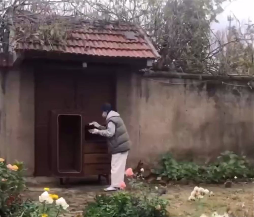 姑娘低价买下废旧木柜,亲自动手翻新成雅致小柜,网友:变废为宝