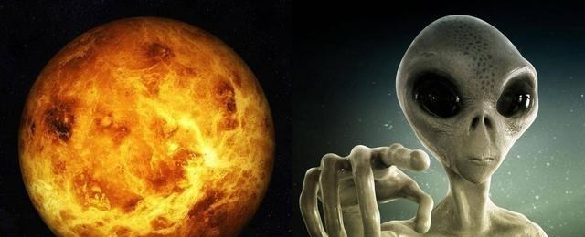 如果宇宙中存在低级文明,人类可能会做些什么事情?