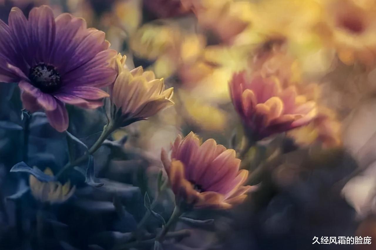 久经风霜的脸庞|让男人独宠你的最佳方法，不是讨好，而是学会三冷落