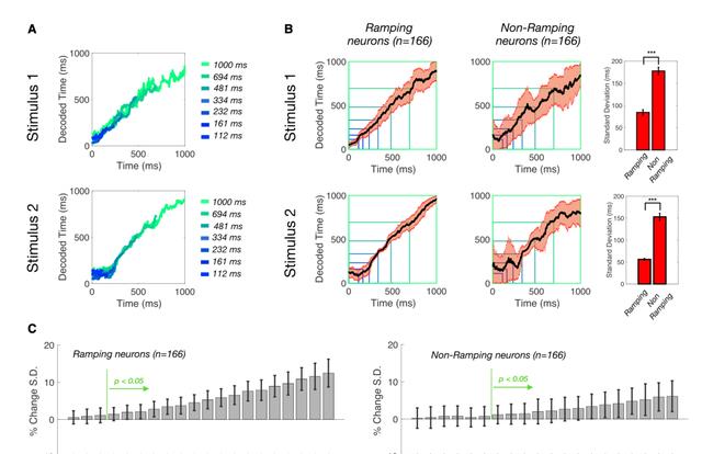 神经元 大脑如何编码时间知觉?