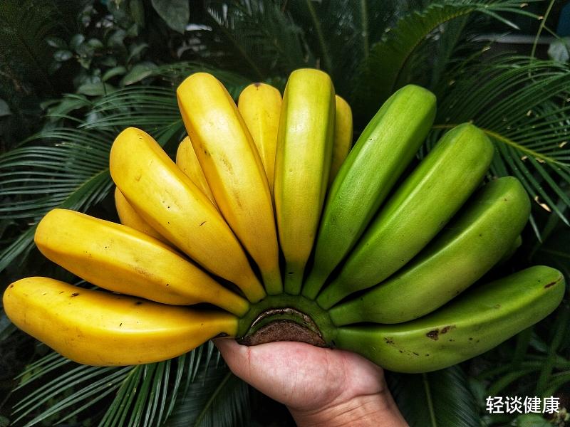 轻谈健康|娃脾胃不好，可以吃香蕉吗？儿科医生：常吃3种食物，养脾健胃