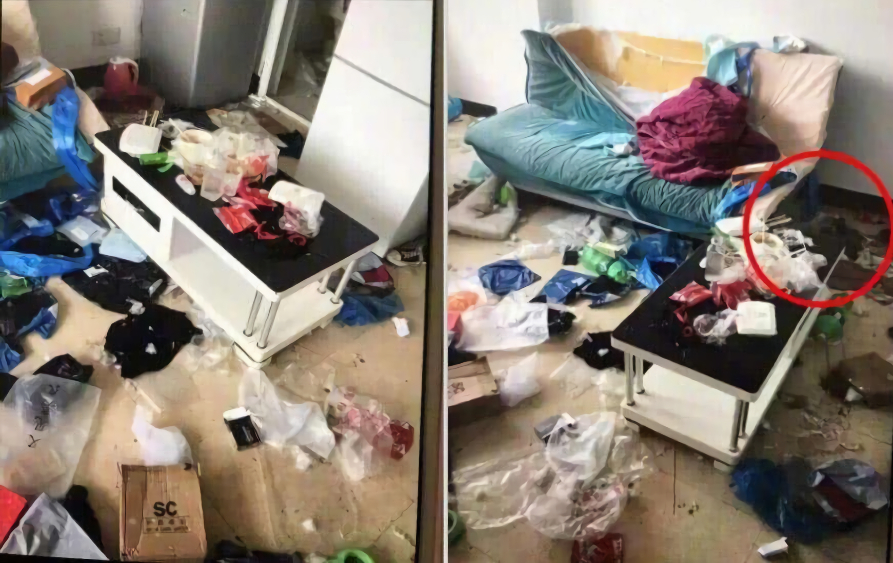海景房|海景房变垃圾场！租客失联房东打开房门崩溃：尿不湿、外卖盒乱扔