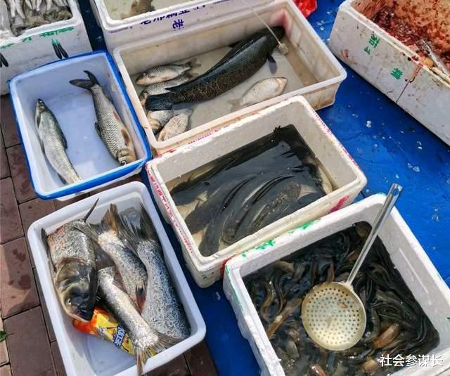 社会参谋长 美国姑娘到中国旅行，游玩两天后懵了: 你们管这个叫“超市”？