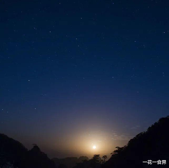 一花一食界|如果你想去黄山，那就看看吧~（上）