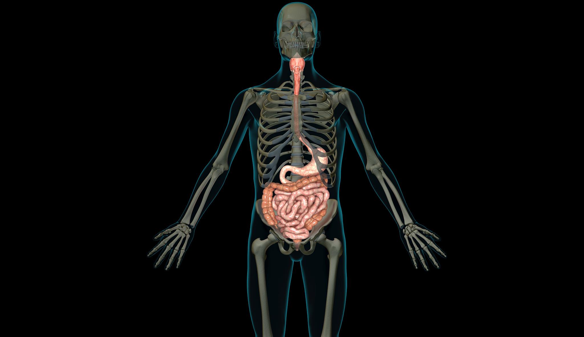 颐生缘|肠道受损，也会威胁到健康？这4件伤肠道的事情，要多注意