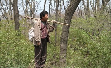 金凤说趣闻|男子山里救回一个女子,女子夜里往小树林跑,男子跟去,瘫在地上