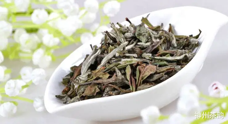 神州茶韵 怎样品鉴一杯好茶？