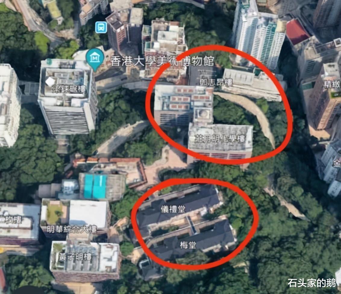 丁剑剑|林生斌出轨妻子？修井镇压！竟学香港首富李嘉诚对原配那样
