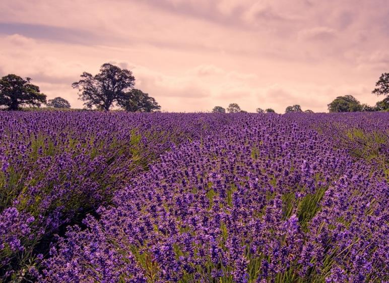 城东李公子说|3天后，前任敲门，祥云绕天，怦然心动，温柔回首，真诚道歉