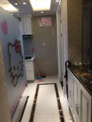 花320万在上海中环买44平房子，厨房和卫生间的隔断谁见过？