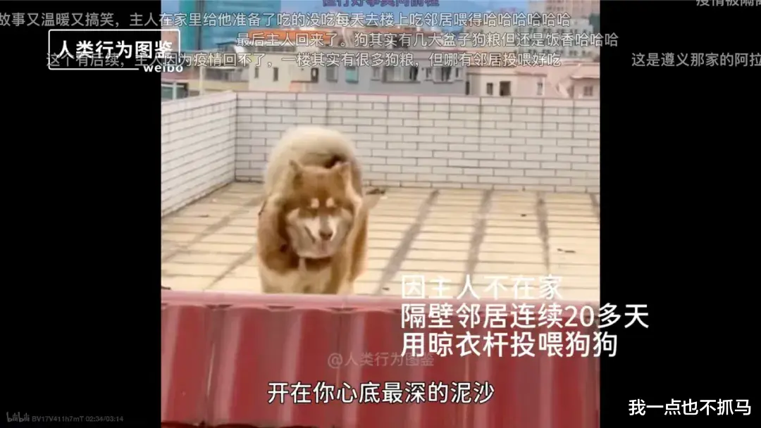 女孩|9.9分神作出世,请永远不要低估善良的力量