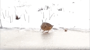 萌控孩|女生绑在脖子上的“黑带子”是啥意思?哈哈哈哈...这到底是什么神操作?