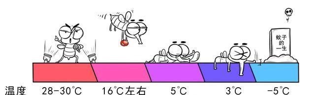 蚊子 核武器！中国独创灭蚊法 俄专家：安全有效 为何蚊子绝种，更危险？