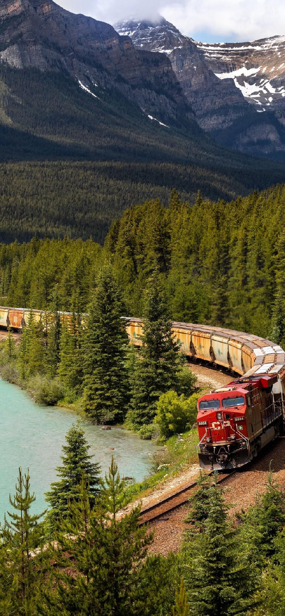 秋招|什么是网申？应届秋招生应该怎么准备网申？