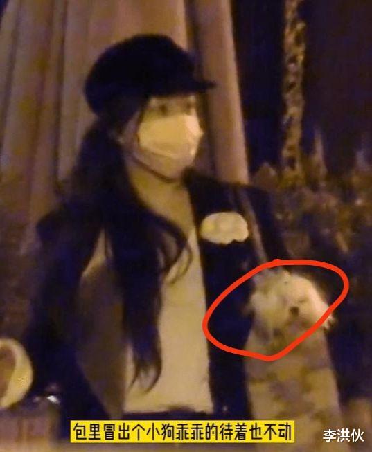 霍思燕才是隐形富婆，用顶奢包包装名贵小狗，开私人飞机自驾游