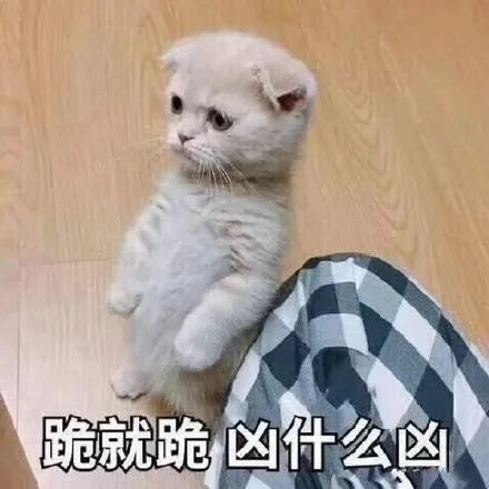 郑爽|华晨宇又有孩子？郑爽新瓜？刘昊然文淇？李易峰新恋情？顶流和他的P友