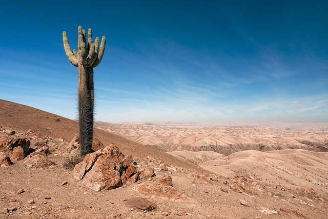 宇航员 2000年前，是谁在山上画了个宇航员？究竟是画给谁看的？