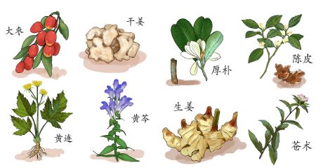 眼妆 湿寒，湿性关节炎，以前宫廷御医的方子，让你祛湿气变好看