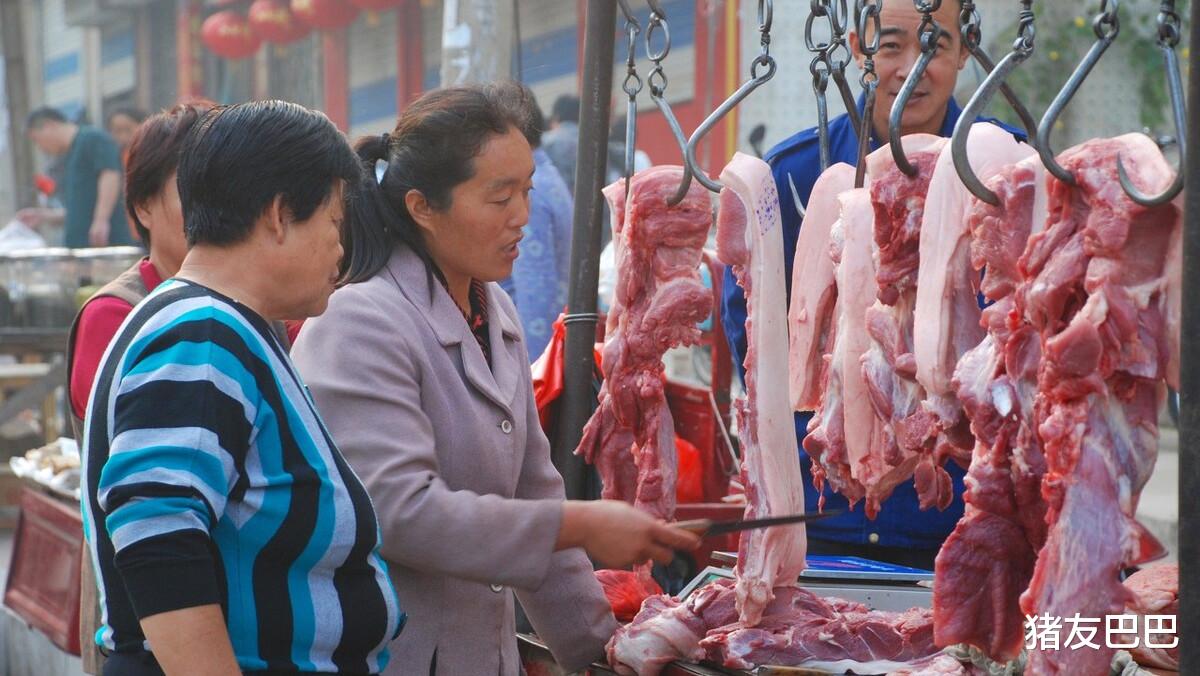 生猪价格 27日猪价跌惨，华北下跌凸显，猪价还得跌？2个信号！