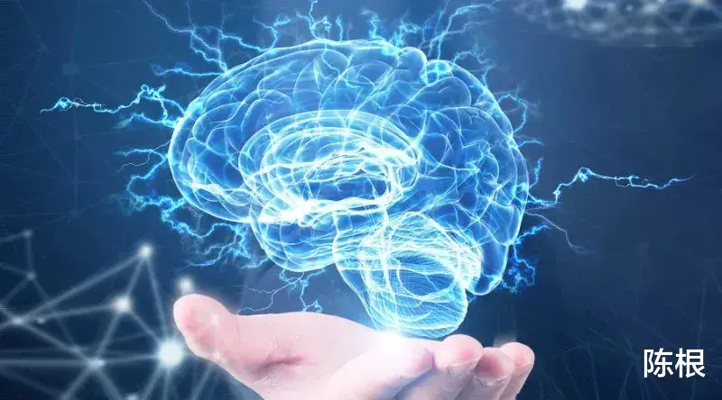 小行星 陈根：大脑“噪音”会带来意识边界吗？