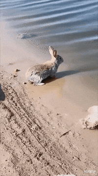 时尚炫点 这样的睡姿我还是第一次见，旁边的乘客头已经无处安放了，好尴尬！！！