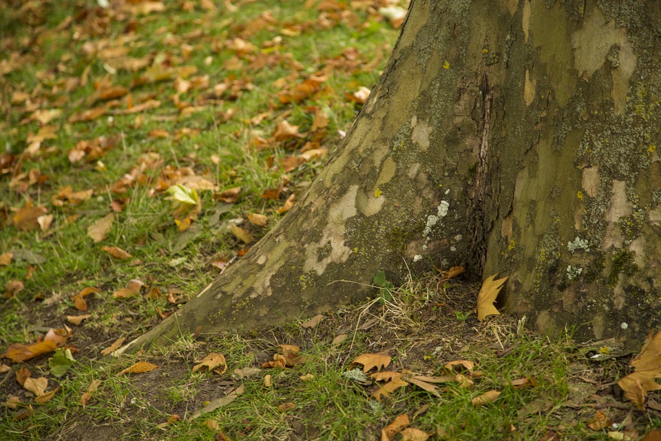 追寻星座的世界|深刻含蓄的爱情伤感句子，充满了无奈，充满了无助