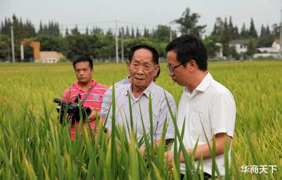 华商天下 您好袁老，无奈地归去来兮！是您让我们吃饱，也让一些人吃得太饱
