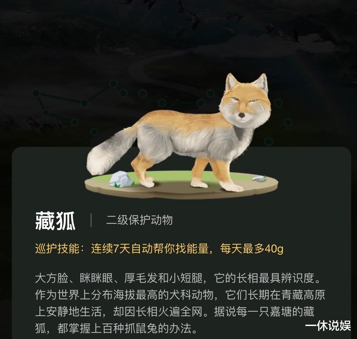 天天向上|《天天向上》新一期换口味了，不玩娱乐更有看点，开始走科普路线